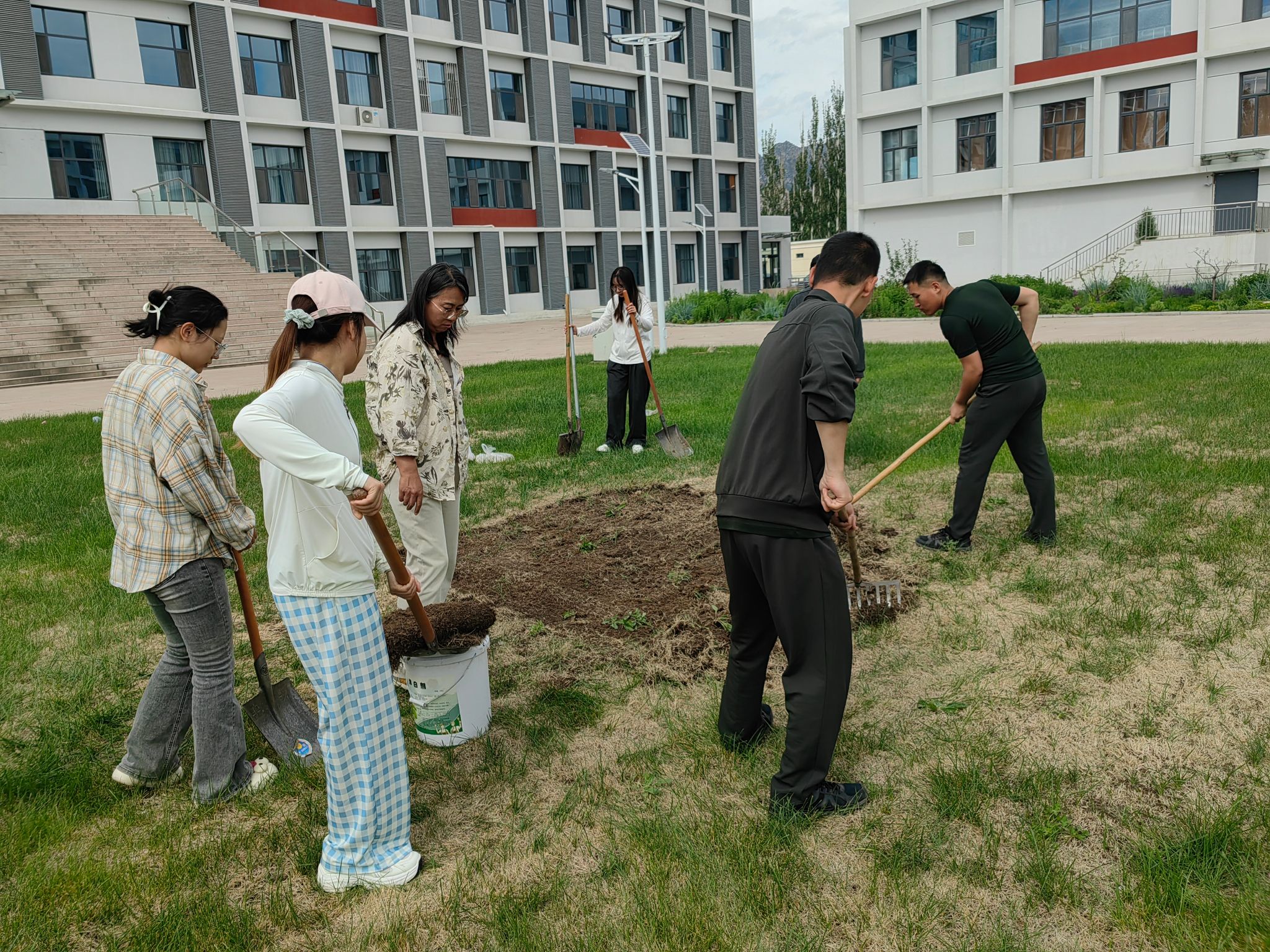 以行践知练技能 精细养护焕新绿 ——林草生态技术系开展草坪养护管理实践活动